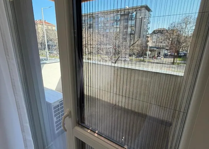 Amaris 1 普罗夫迪夫